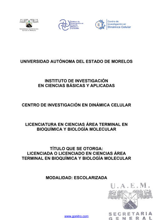 Plan de estudios